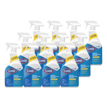 Anywhere Hard Surface Sanitizing Spray    32 Oz Spray Bottle    12/Carton