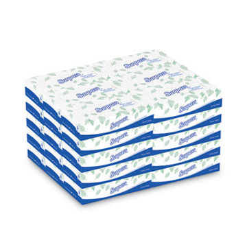 Facial Tissue 2-Ply White Flat Box 100 Sheets/Box 30 Boxes/Carton
