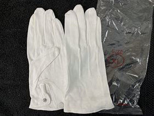 Picture of White Synthetic Glove-Xl Case Xlarge 10/100